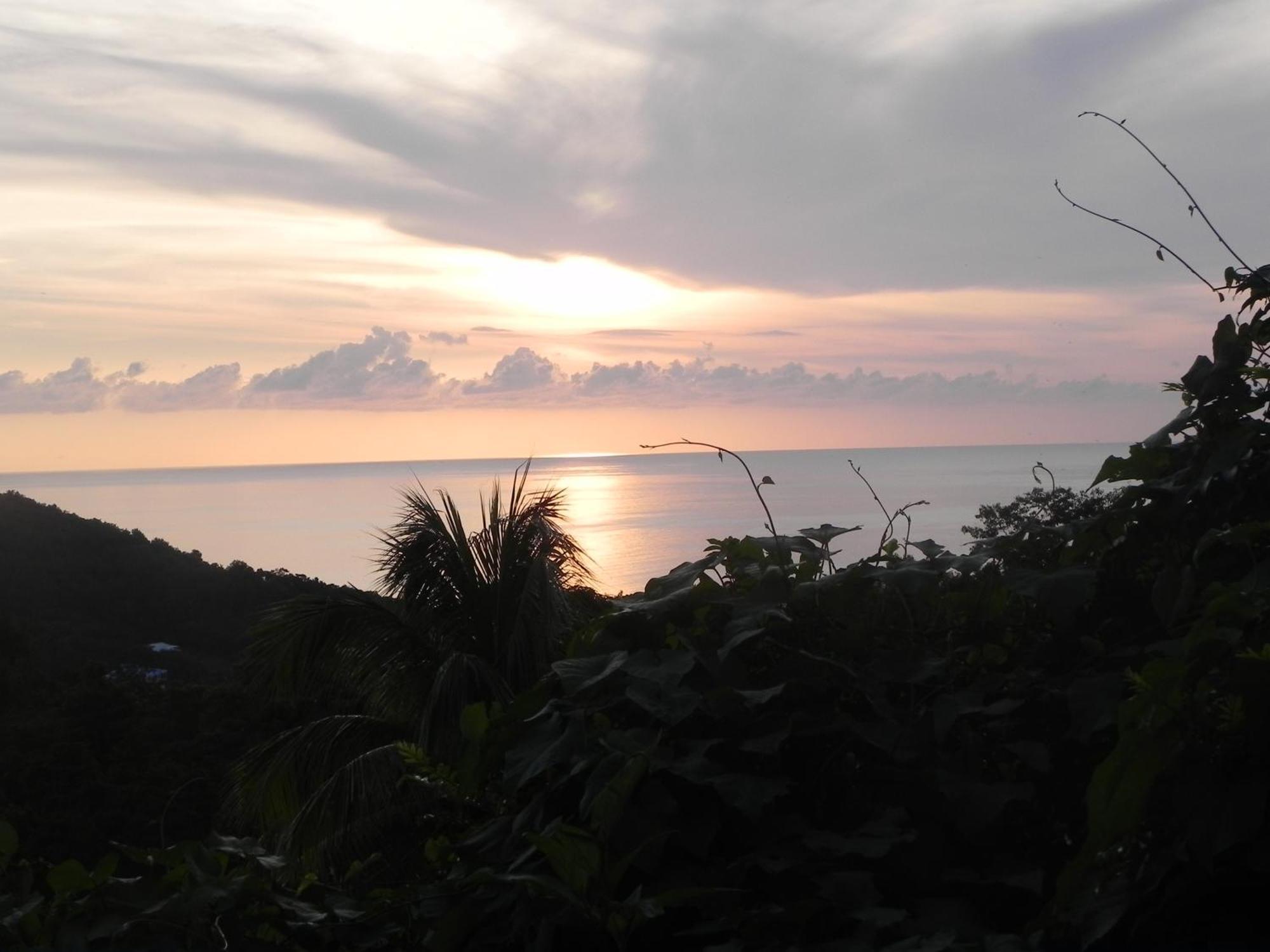 Villa Mielecajou, Entre Mer Et Montagne Deshaies Exteriér fotografie