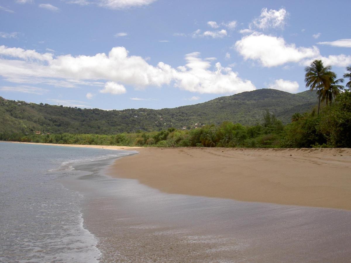 Villa Mielecajou, Entre Mer Et Montagne Deshaies Exteriér fotografie